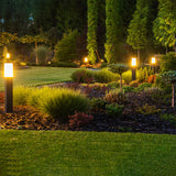 Moderne LED tuinlampen op zonne-energie langs een fraai aangelegde tuinpad, gefotografeerd in vooraanzicht tijdens schemering, met warme verlichting die sfeer en veiligheid biedt in een groene tuinomgeving.