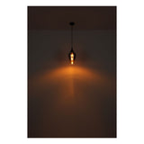 Hanglamp LAVUS 18.0 cm 1-lichts Zwart