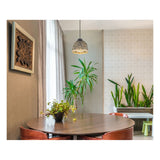 Hanglamp COLLY 20.0 cm 1-lichts Zwart