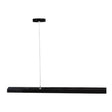 Zwarte moderne hanglamp met langwerpig design, minimalistisch frontaal aanzicht tegen witte achtergrond.