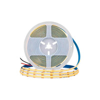 5M COB LED Strip | 12V | IP20 | 6500K | Voorkant