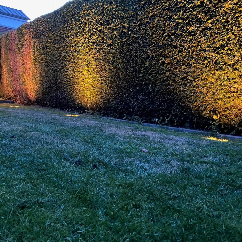 Tuinspotverlichting die ’s avonds een warme gloed werpt op een hoge groene haag, gezien vanuit een lage hoek over een grasveld.