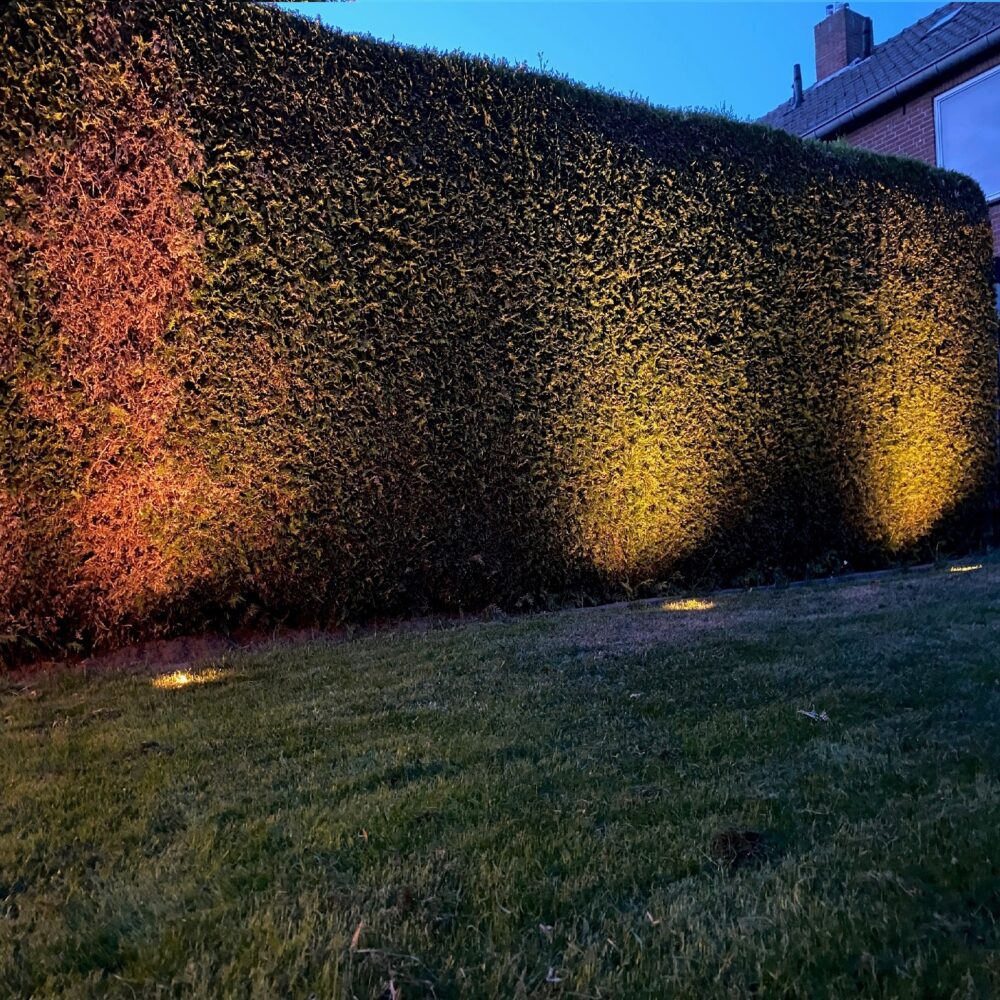 Grondspot tuinverlichting verlicht hoge haag in schemering, zijaanzicht van verlichte heg met warme LED-lichtstralen afkomstig van grondspots in gazon.