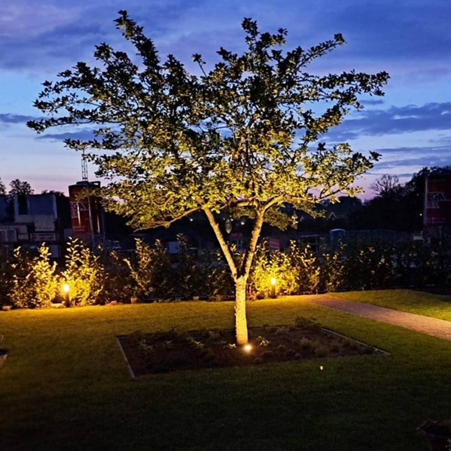 Verlichte boom in een tuin bij schemering, met warmwitte LED grondspots als sfeerverlichting rondom de boom en langs het tuinpad – vooraanzicht van de tuinverlichting in gebruik.