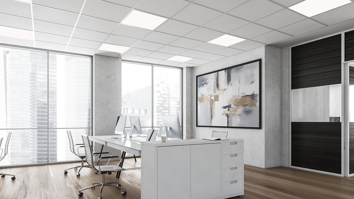 Philips Ledinaire | Afstandsbediening | 1 Kanaal | Wit