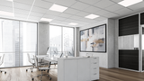 Philips Ledinaire | Afstandsbediening | 1 Kanaal | Wit